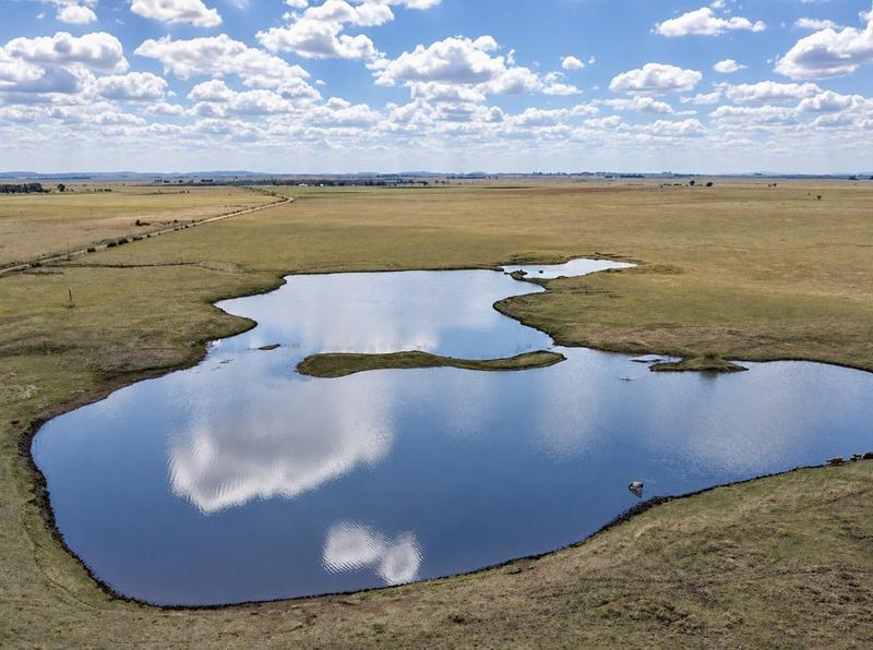 0 Bedroom Property for Sale in Koppies Free State